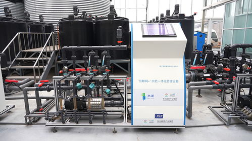 浑身都是高科技 蔬菜大棚变身智慧工厂