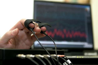 不借助测谎仪 网络科技研发中辨识说谎者的四招实用技巧